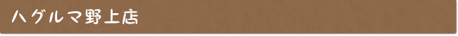 ハグルマ野上店